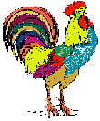 Rooster